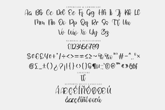 Sanity Font Poster 6