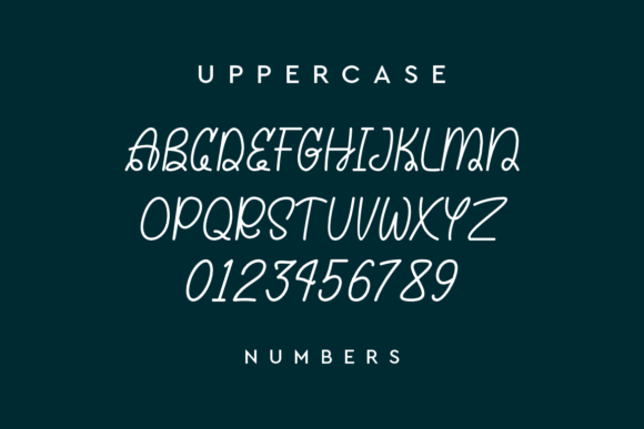 Sarah Violia Font Poster 2