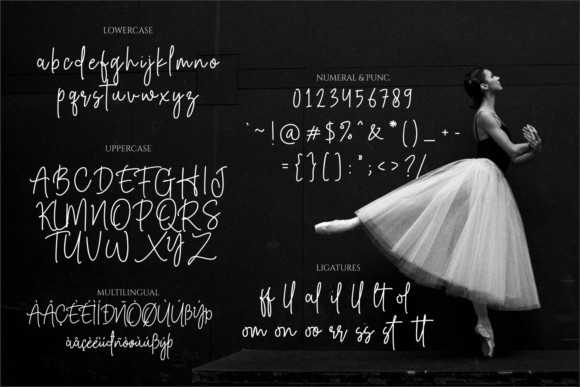 Satisfact Stylish Font Poster 4