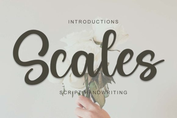 Scales Font