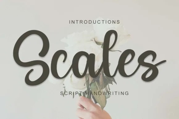Scales Font Scales Font Poster 1