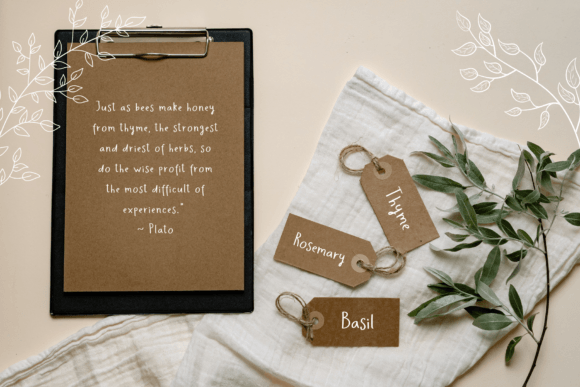 Secret Garden Font Poster 2