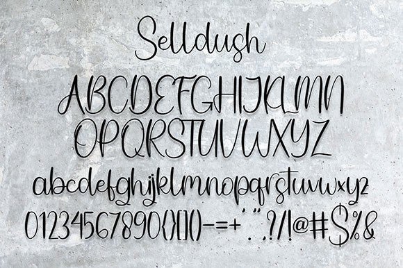 Selldush Font Poster 7