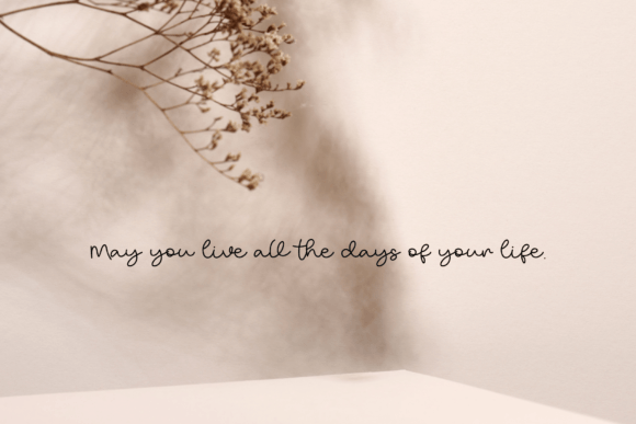 Serrasin Fahher Font Poster 10