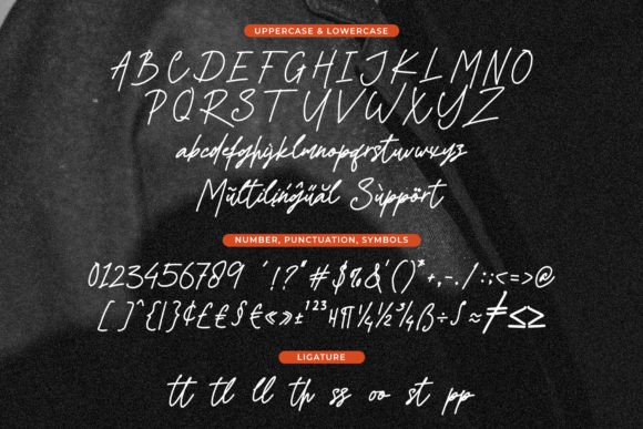 Shandia Signature Font Poster 6