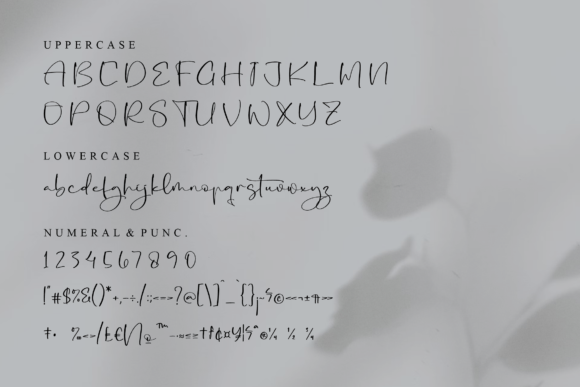 Shatiany Raloka Font Poster 13