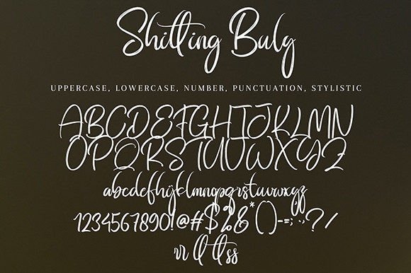Shitting Buly Font Poster 9