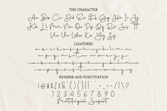 Signaturae Font Poster 7