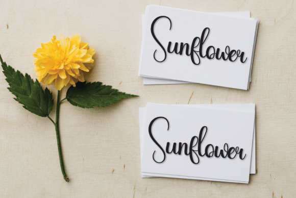 Simple Writing Font Poster 4