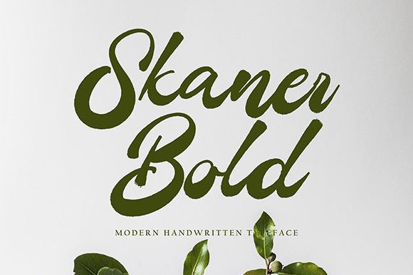 Skaner Bold Font Poster 1