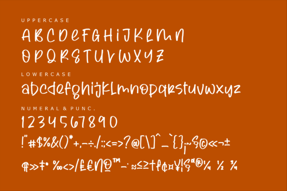 Skaterain Font Poster 13