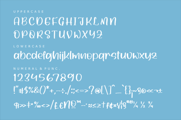 Skymate Font Poster 11