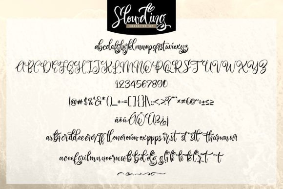 Slowding Font Poster 5