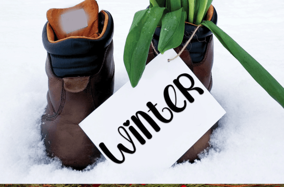Snow Flower Font Poster 3