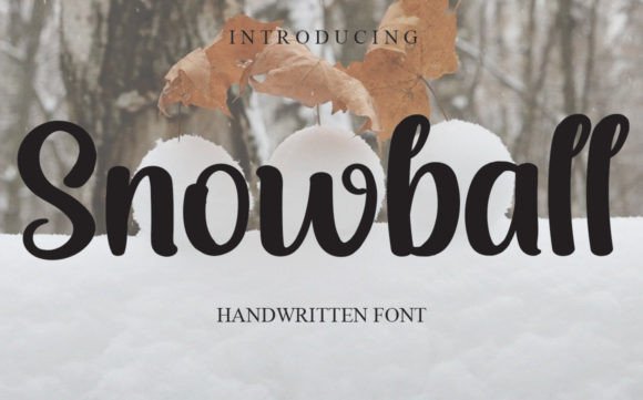 Snowball Font Poster 1