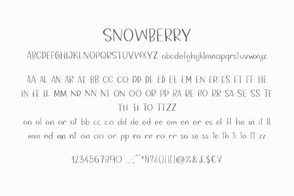 Snowberry Font Poster 2