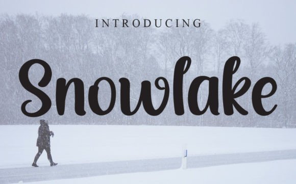 Snowlake Font Poster 1