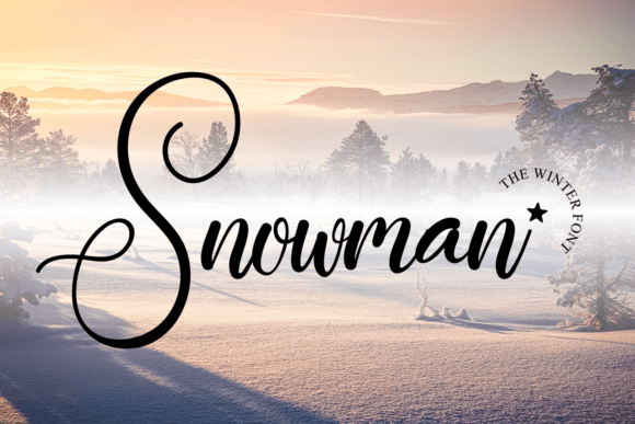 Snowman Font Poster 1