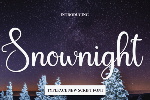 Snownight Font Poster 1