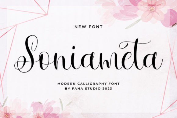 Soniameta Font Poster 1