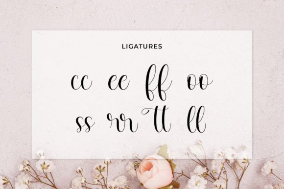Soniameta Font Poster 11