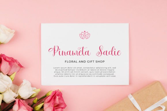 Soniameta Font Poster 5