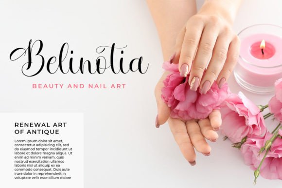 Soniameta Font Poster 6