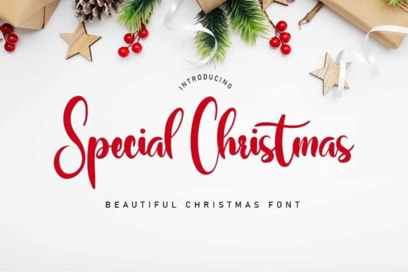 Special Christmas Font Poster 1