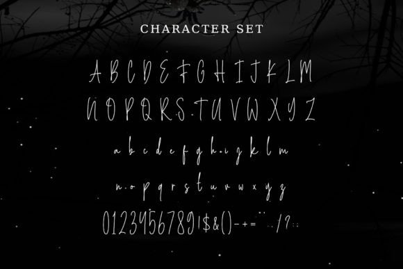 Spooky Mistery Font Poster 5