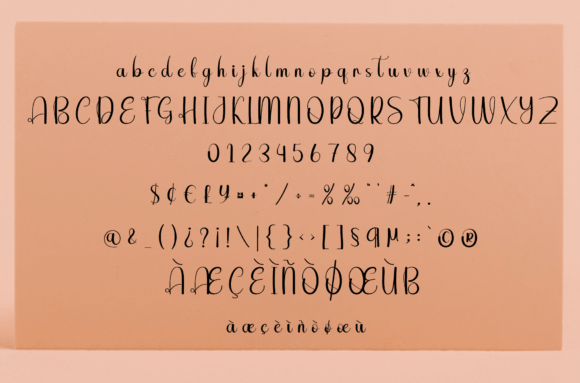 Spring Sunflower Font Poster 6
