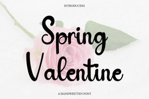 Spring Valentine Font Poster 1