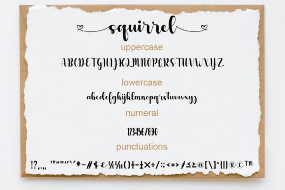Squirrel Font Poster 5