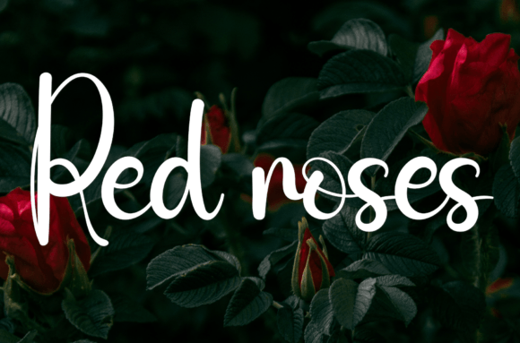 Stock Font Poster 4