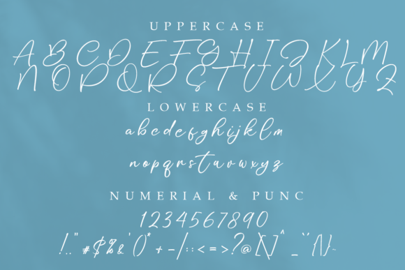 Stylissa Font Poster 7