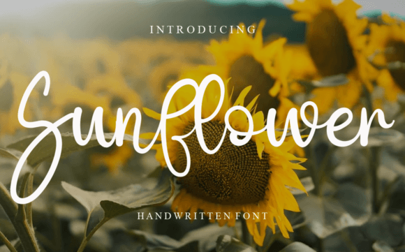 Sunflower Font Poster 1