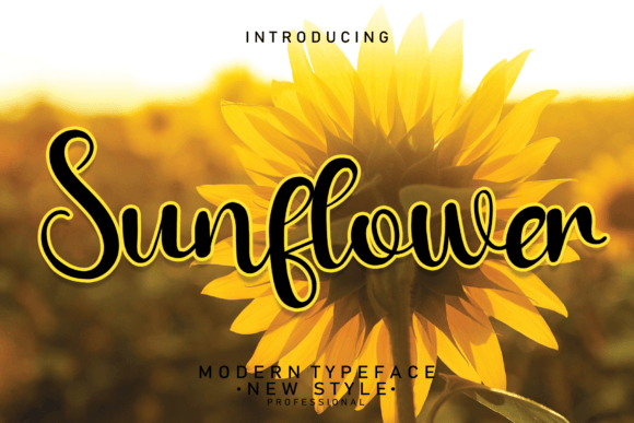 Sunflower Font