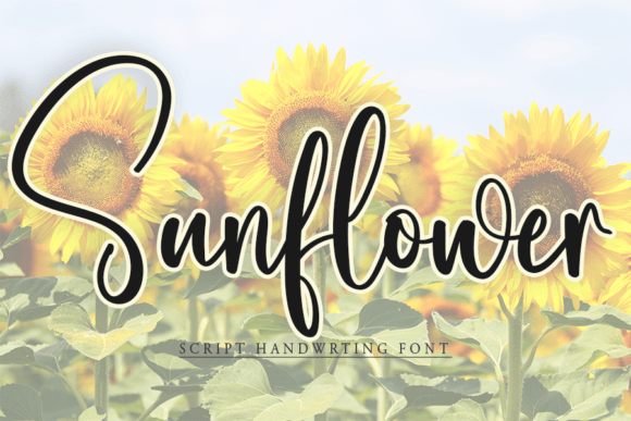 Sunflower Font Poster 1