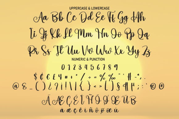 Sunrice Font Poster 6