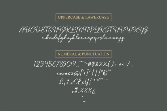Sunydate Font Poster 8