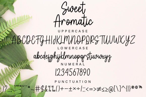 Sweet Aromatic Font Poster 5