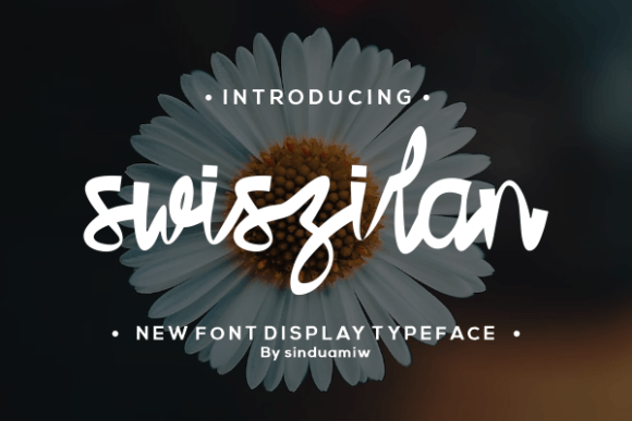 Swiszilan Font Poster 1