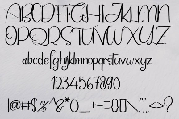 Taiger Font Poster 4