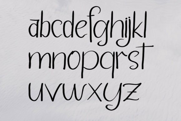 Taiger Font Poster 5