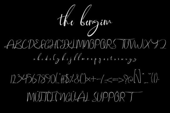 The Bengim Font Poster 8