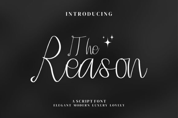 The Reason Font Poster 1