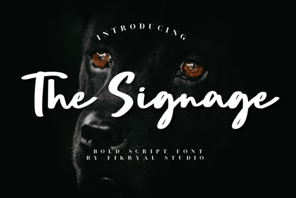 The Signage Font Poster 1