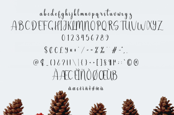 Thick Honey Font Poster 6