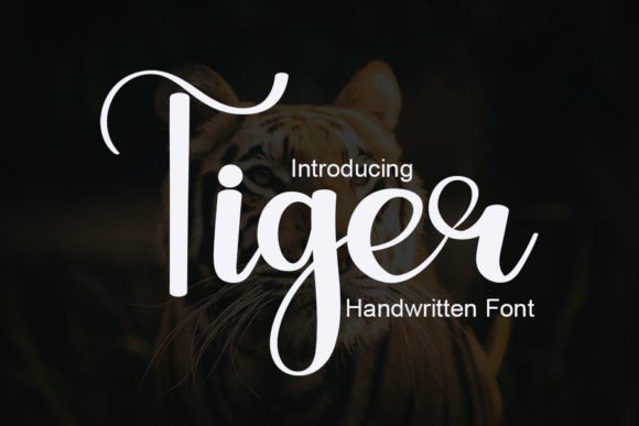 Tiger Font Poster 1