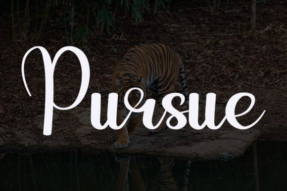 Tiger Font Poster 2