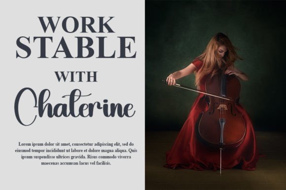 Violin Font Poster 3